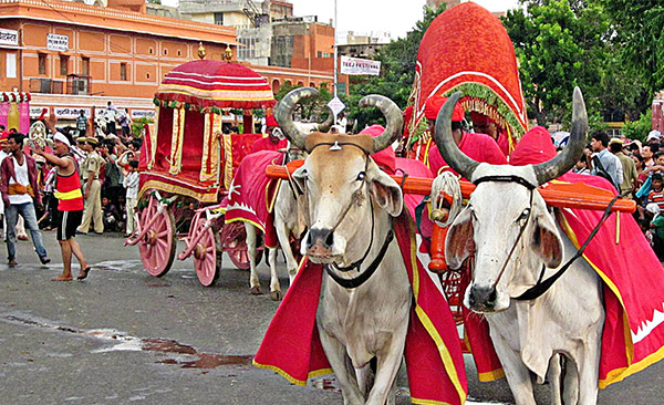 Teej Festival Jaipur Rajasthan- Significance, Rituals, Celebration of Teej  - India-Tours